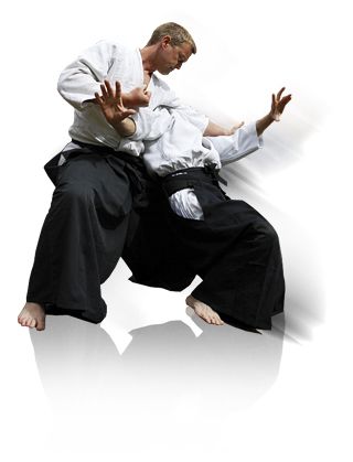 Aikido PNG    图片编号:70015