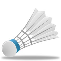 Badminton volant PNG image    图片编号:10428