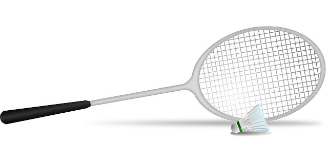 Badminton racket PNG image    图片编号:10430