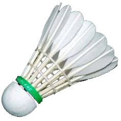 Badminton volant PNG image    图片编号:10445