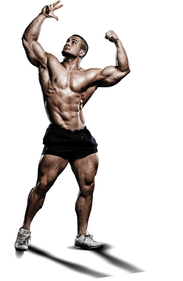 Bodybuilding PNG    图片编号:55355