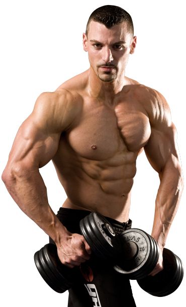 Bodybuilding PNG    图片编号:55356