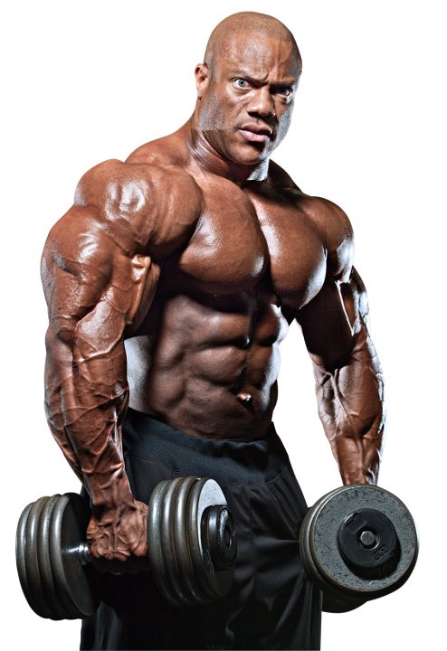 Bodybuilding PNG    图片编号:55325