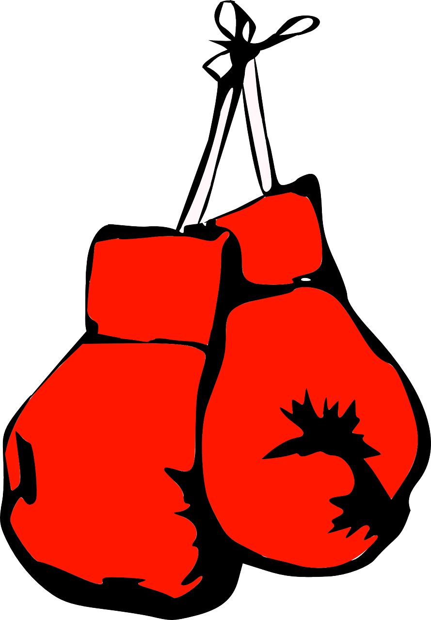 boxing gloves PNG    图片编号:102608