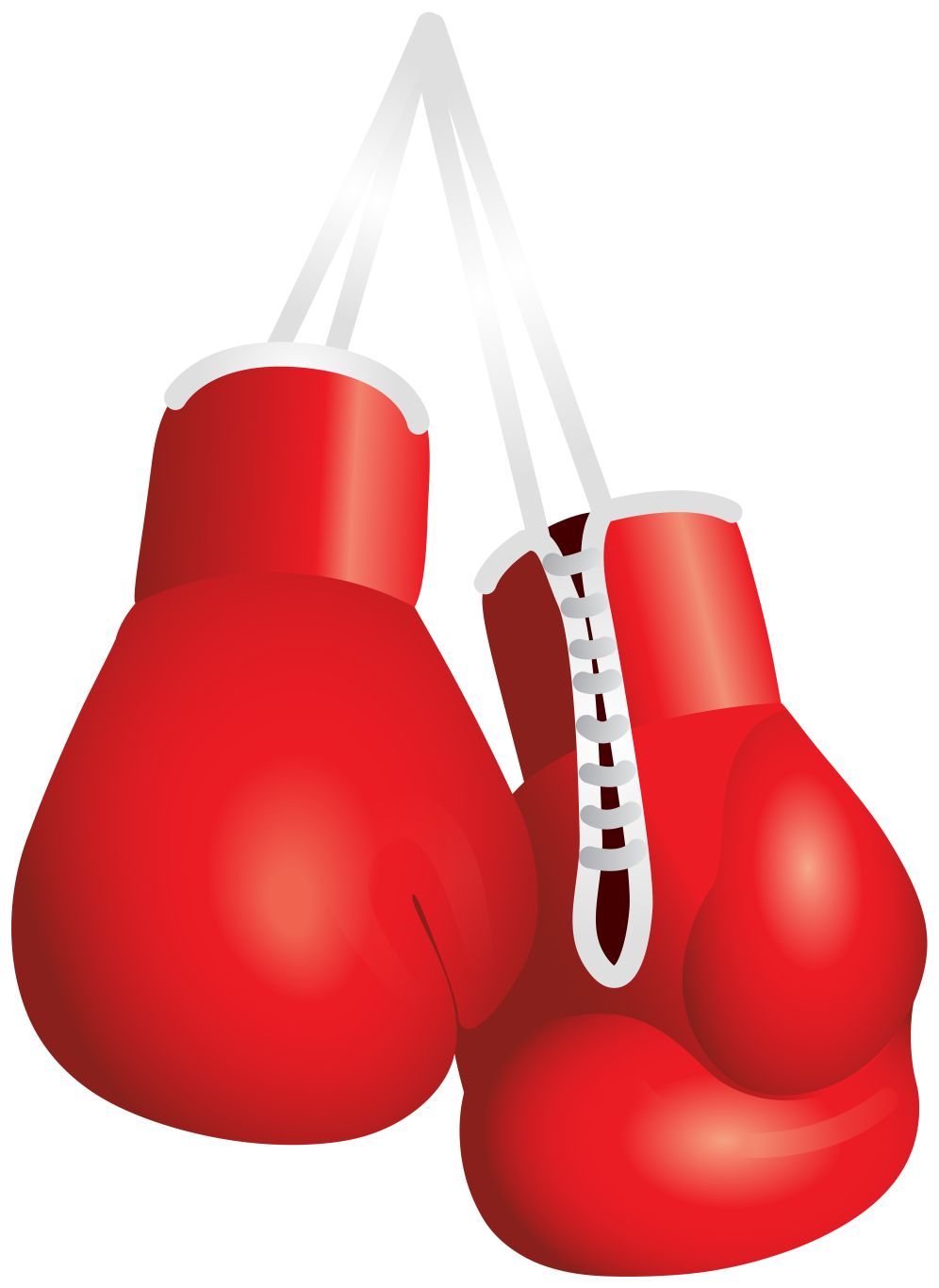 boxing gloves PNG    图片编号:102616