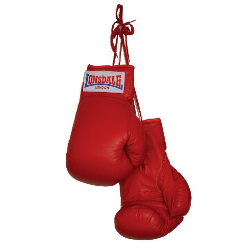 boxing gloves PNG    图片编号:102642
