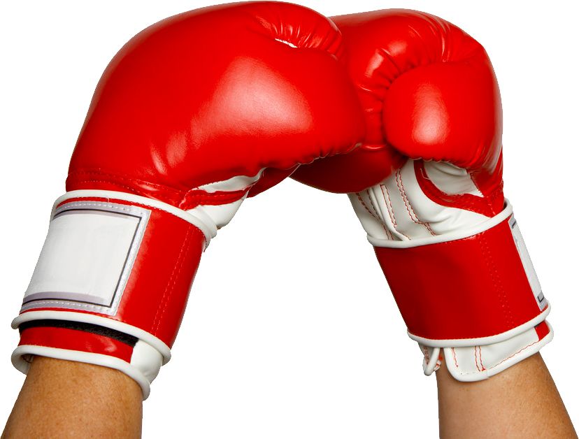 Boxing gloves PNG image    图片编号:10464