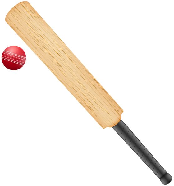 Cricket bat PNG    图片编号:76760