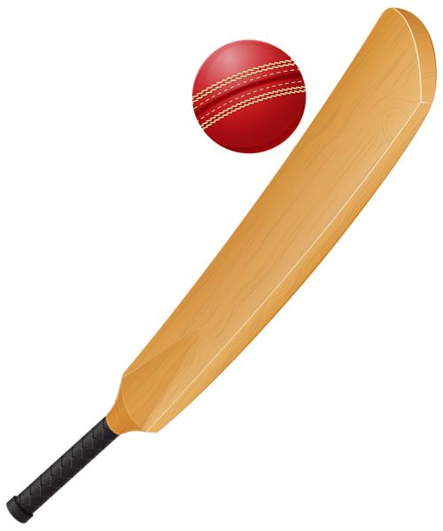 Cricket PNG    图片编号:76761