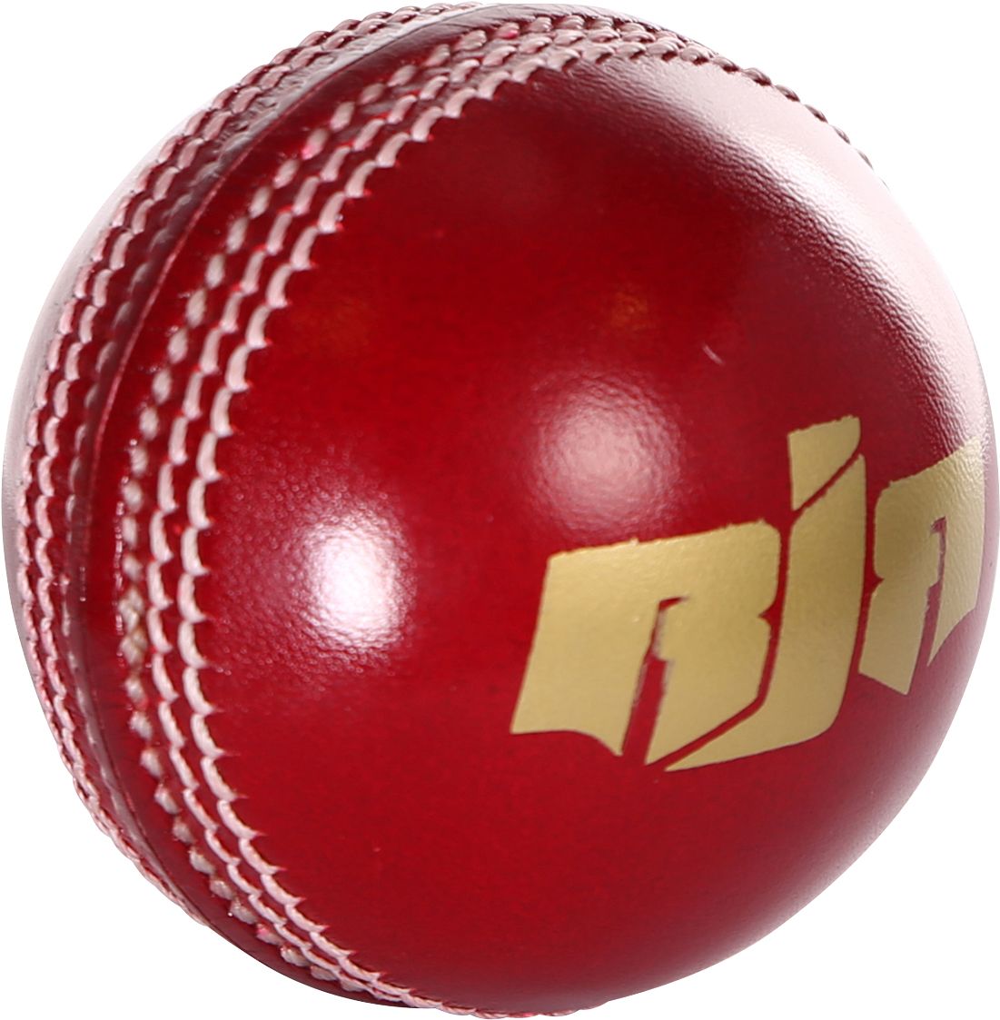 Cricket PNG    图片编号:76671