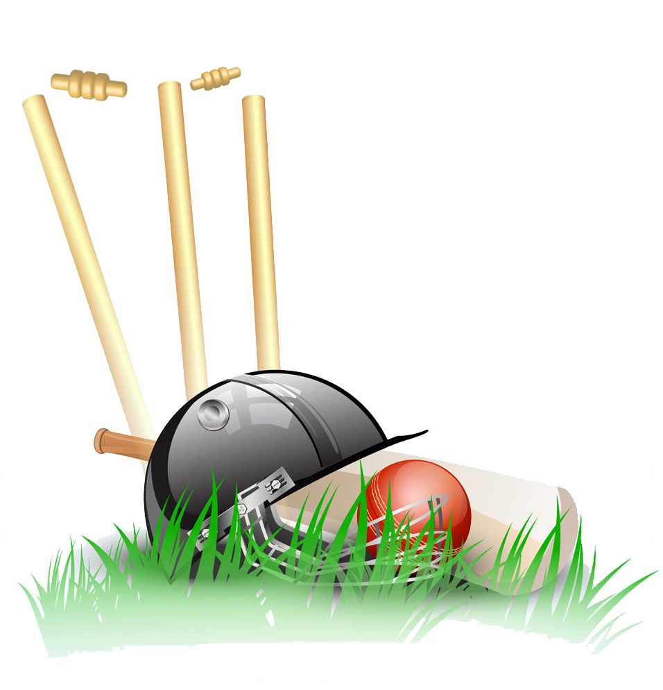 Cricket PNG    图片编号:76672
