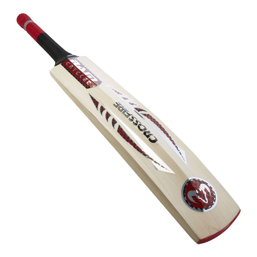 Cricket bat PNG    图片编号:76673