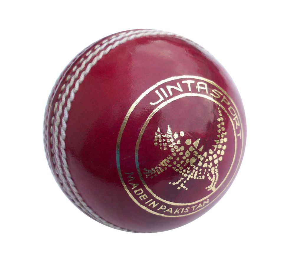 Cricket PNG    图片编号:76676