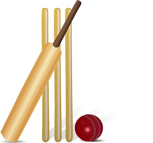 Cricket PNG    图片编号:76696