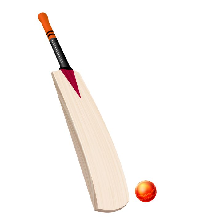 Cricket bat PNG    图片编号:76707