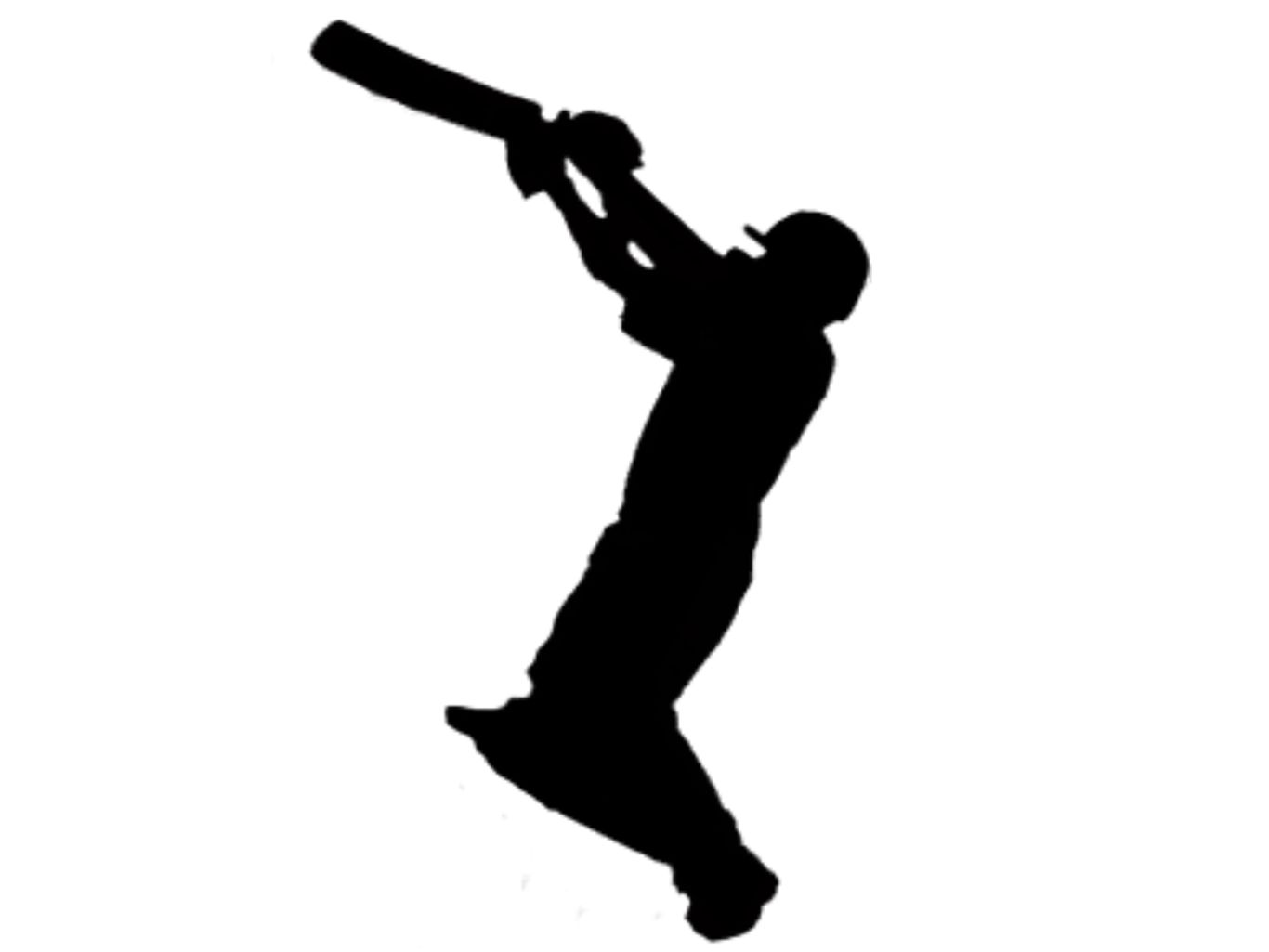 Cricket PNG    图片编号:76731