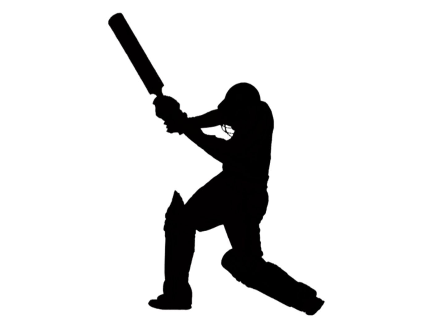 Cricket PNG    图片编号:76734