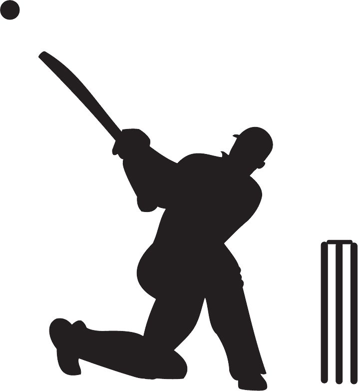 Cricket PNG    图片编号:76735