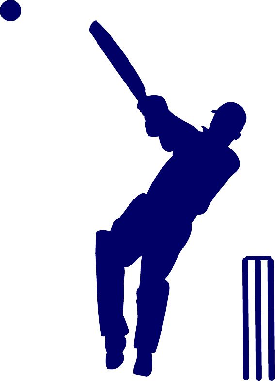 Cricket PNG    图片编号:76736