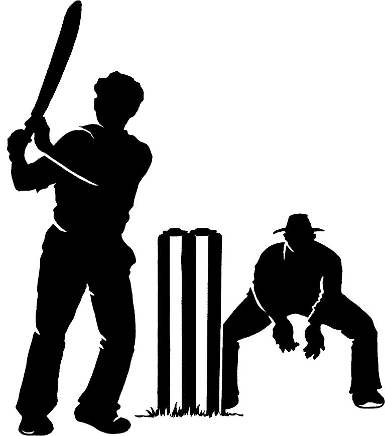 Cricket PNG    图片编号:76742