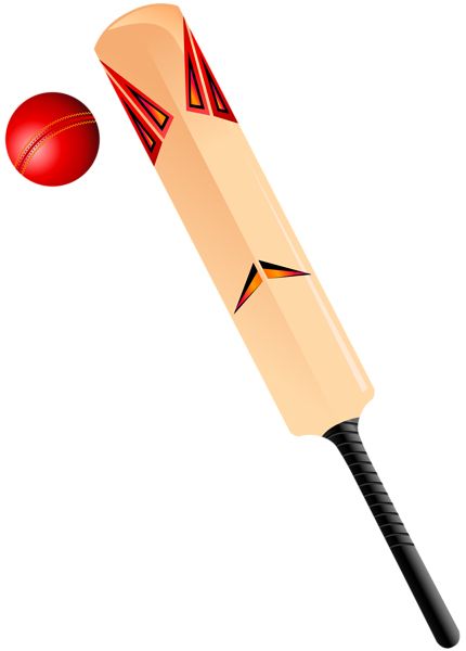 Cricket PNG    图片编号:76758