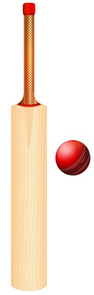Cricket bat PNG    图片编号:76759