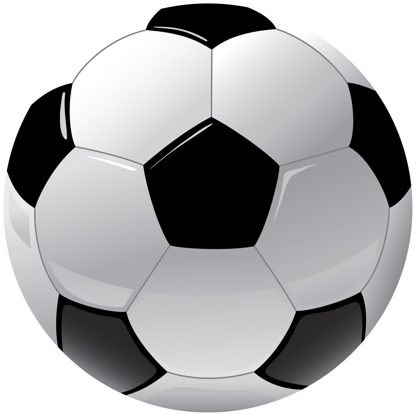 Soccer ball PNG    图片编号:28463