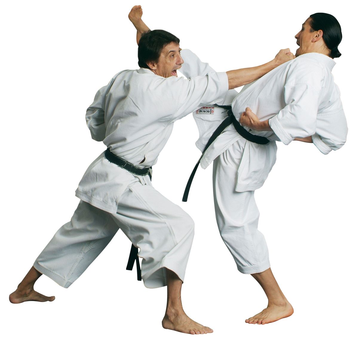 Karate PNG    图片编号:55479