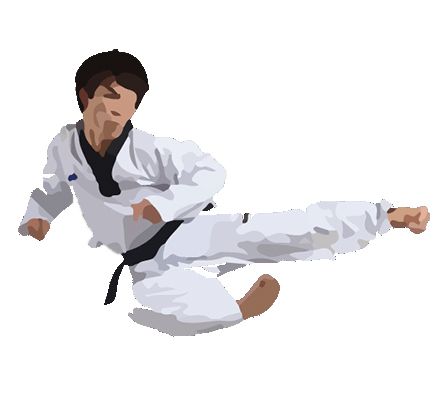 Karate PNG    图片编号:55465