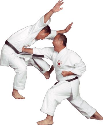 Karate PNG    图片编号:55485
