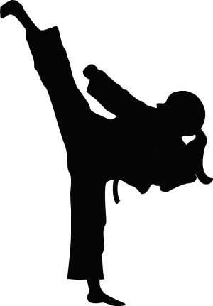 Karate siluete PNG    图片编号:55507