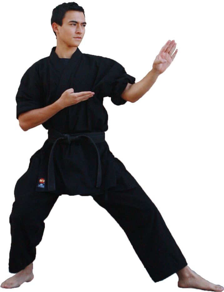Karate PNG    图片编号:55527