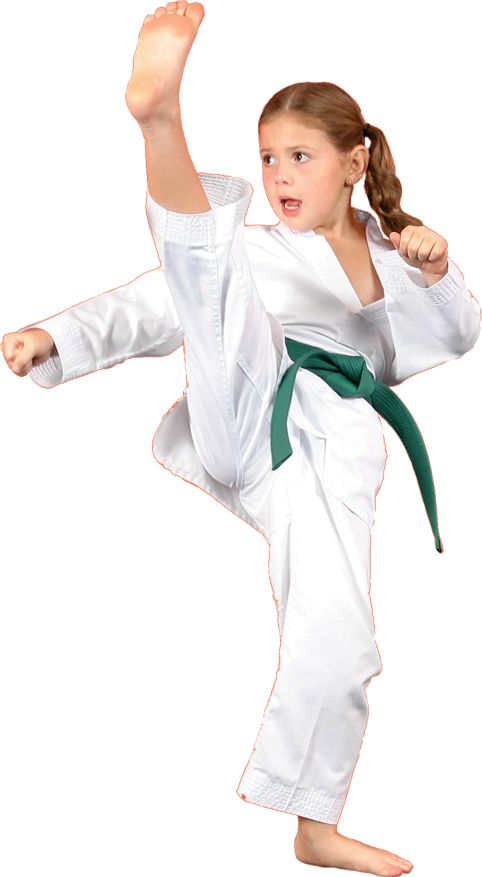 Karate PNG    图片编号:55533