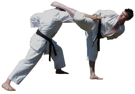 Karate PNG    图片编号:55539