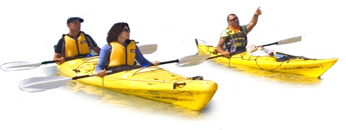 Kayak PNG    图片编号:78397