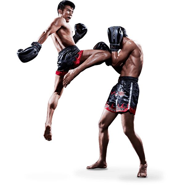 Mixed martial arts PNG, MMA PNG    图片编号:70377