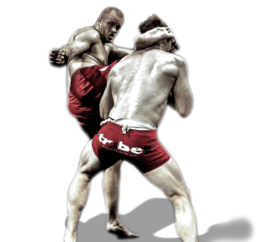 Mixed martial arts PNG, MMA PNG    图片编号:70397