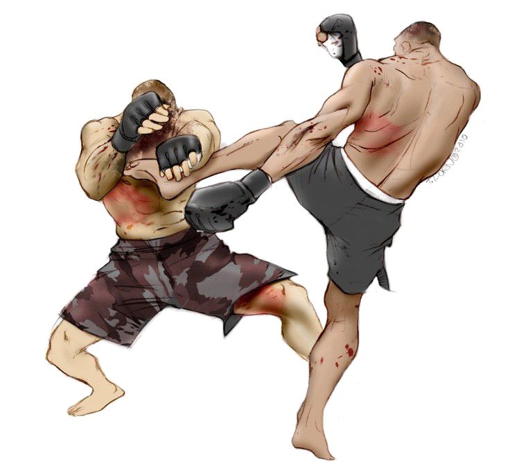 Mixed martial arts PNG, MMA PNG    图片编号:70404