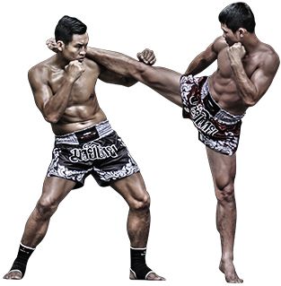 Mixed martial arts PNG, MMA PNG    图片编号:70369