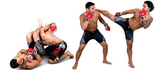 Mixed martial arts PNG, MMA PNG    图片编号:70370