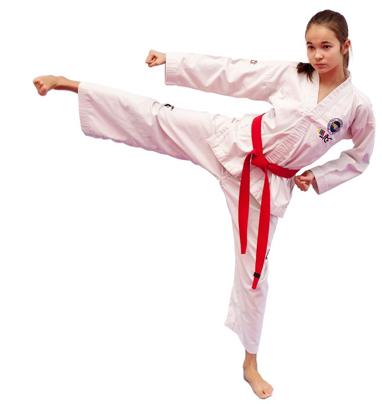 Taekwondo PNG    图片编号:70180