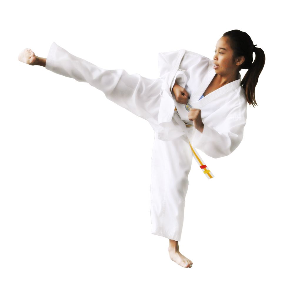 Taekwondo PNG    图片编号:70181