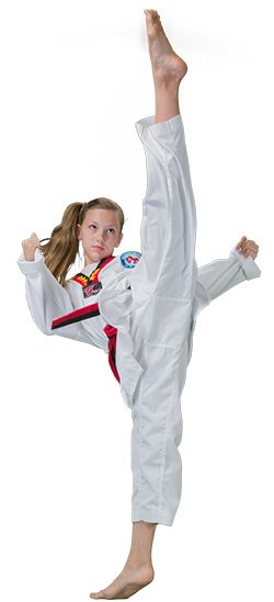 Taekwondo PNG    图片编号:70196