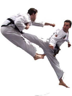 Taekwondo PNG    图片编号:70198