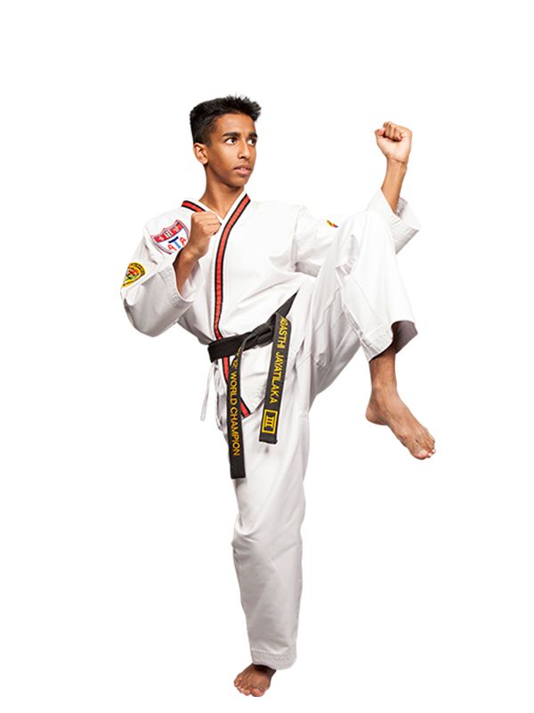 Taekwondo PNG    图片编号:70206