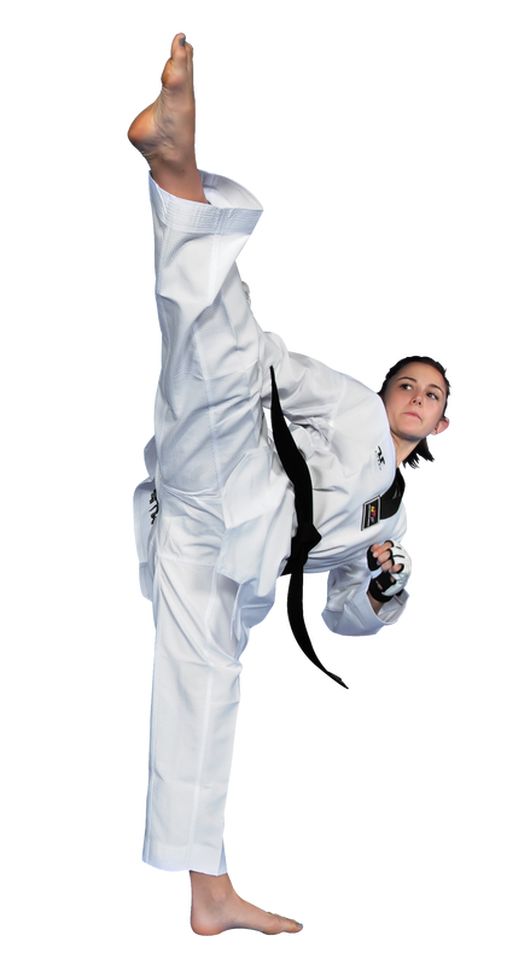 Taekwondo PNG    图片编号:70209