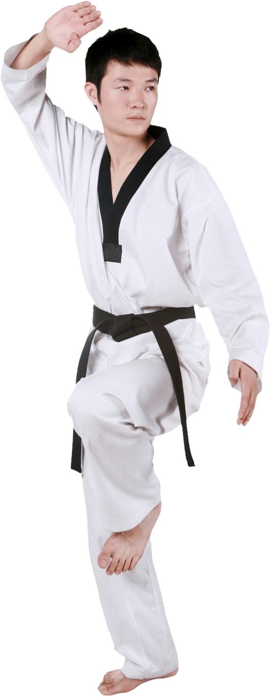 Taekwondo PNG    图片编号:70174