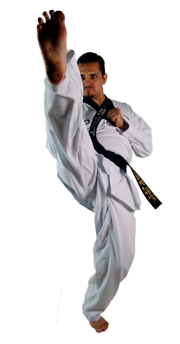 Taekwondo PNG    图片编号:70210