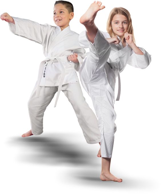 Taekwondo PNG    图片编号:70212