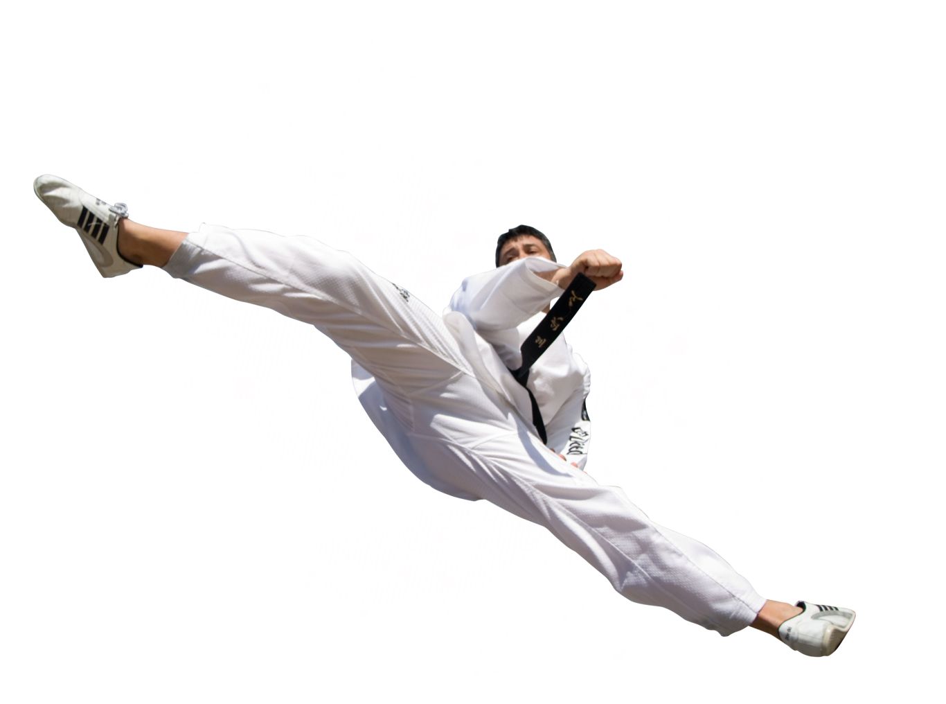 Taekwondo PNG    图片编号:70214